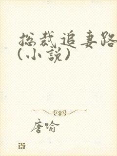 总裁追妻路漫漫(小说)