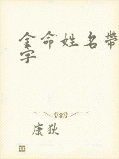 金命姓名带什么字