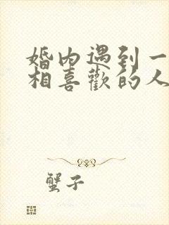 婚内遇到一个互相喜欢的人怎么办