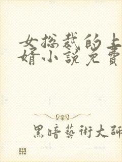 女总裁的上门女婿小说免费阅读无弹窗封面