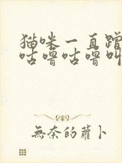 猫咪一直蹭你还咕噜咕噜叫封面