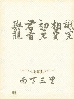 与君初相识在线观看免费完整版封面