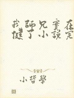 我师兄实在太稳健了小说完本