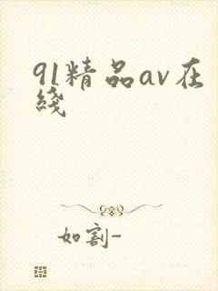 91精品av在线