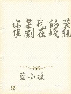 你是我的荣耀电视剧在线观看星辰封面