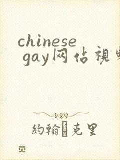 chinese gay网站视频