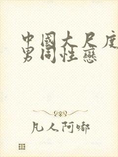 中国大尺度激情男同性恋封面