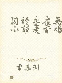 囚于永夜无删减小说麦香鸡