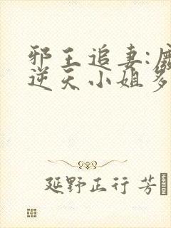 邪王追妻:废材逆天小姐多少字封面