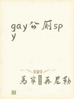 gay公厕spy