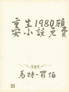 重生1980顾安小说免费阅读最新章节