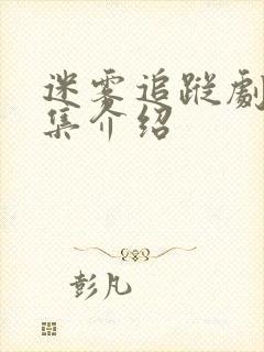 迷雾追踪剧情分集介绍封面