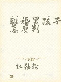 离婚男孩子5岁怎么判封面