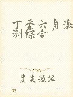 丁香六月激情亚洲综合封面