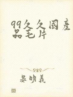 99久久国产精品毛片