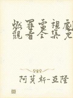 燃罪电视剧在线观看全集免费