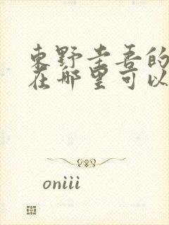 东野圭吾的小说在哪里可以看