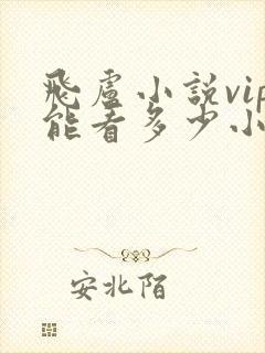 飞卢小说vip能看多少小说