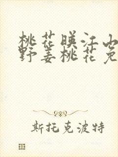 桃花映江山沈在野姜桃花免费阅读小说