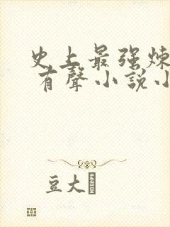 史上最强炼气期 有声小说小说