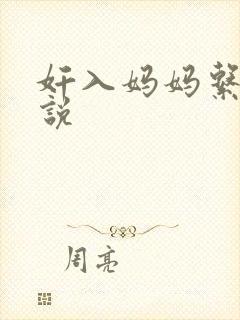 奸入妈妈系列小说