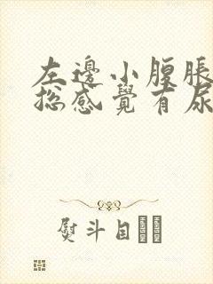 左边小腹胀痛,总感觉有尿