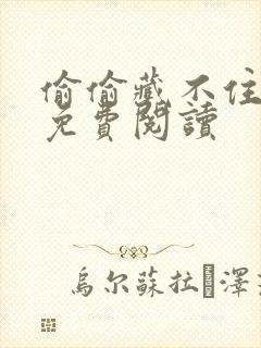 偷偷藏不住完整免费阅读