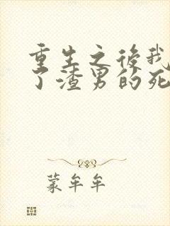 重生之后我嫁给了渣男的死对头短剧封面