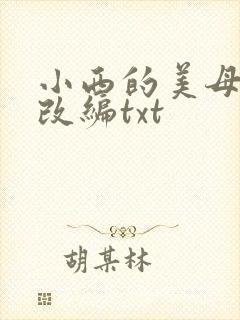 小西的美母教师改编txt