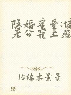 隐婚蜜爱:偏执老公宠上瘾电子书