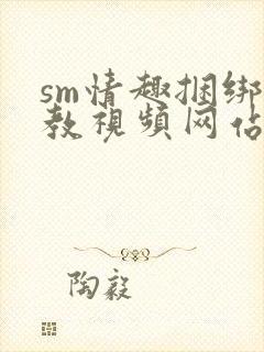sm情趣捆绑调教视频网站