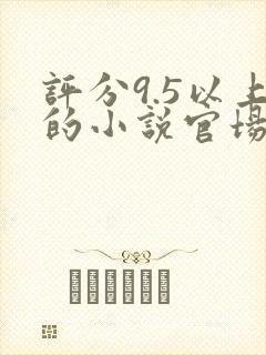 评分9.5以上的小说官场小说