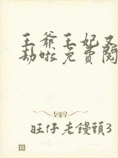 王爷王妃又去打劫啦免费阅读