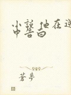 小说 他在逆光中告白