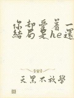 你却爱着一个他结局是he还是be封面