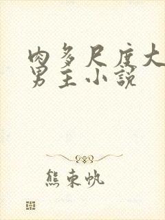 肉多尺度大的双男主小说