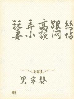 玩弄高跟丝袜人妻小说网站