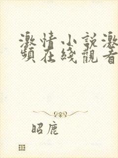 激情小说激情视频在线观看