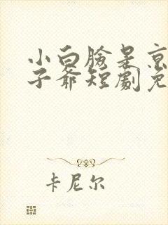 小白脸是京圈太子爷短剧免费观看