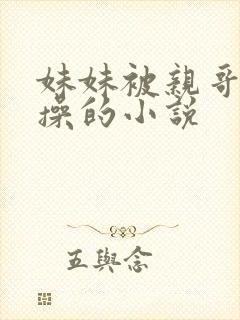 妹妹被亲哥哥强操的小说封面