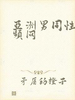 亚洲男同性恋视频网