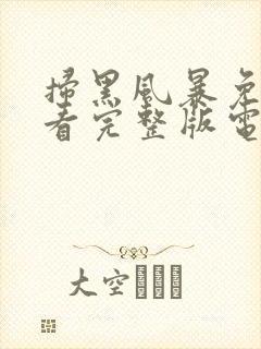 扫黑风暴免费观看完整版电视剧下载