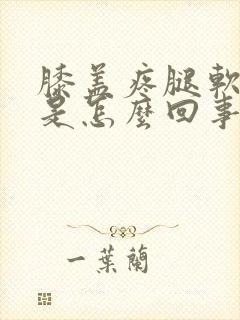 膝盖疼腿软无力是怎么回事封面