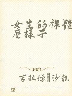 女生的裸体长什么样子封面