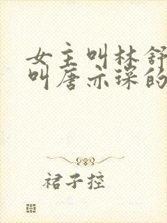 女主叫林舒男主叫唐亦琛的小说