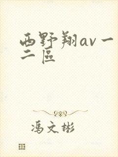 西野翔av一区二区