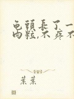 龟头长了一圈小肉粒,不疼不痒的