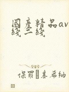 国产精品av一线二线