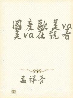 国产欧美va欧美va在观看