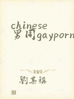 chinese男同gayporn